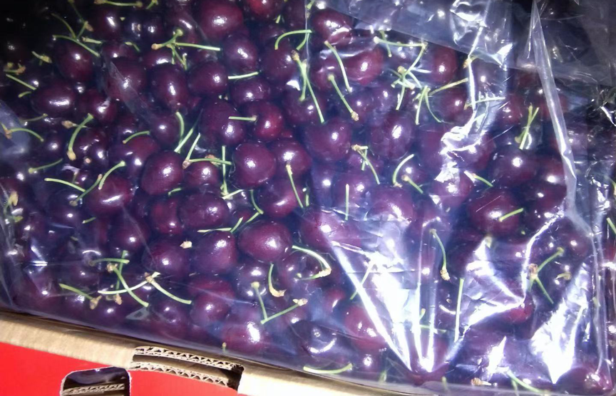 Cherries Top Chinese  Searches, Prices ‘Slashed in Half’ Produce